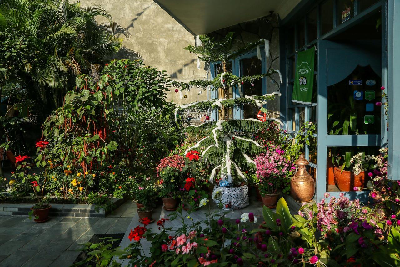 Hotel Silver Oaks Inn Pokhara Buitenkant foto